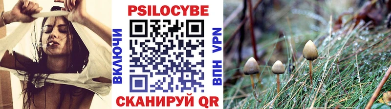 МЕГА как войти Лаишево Псилоцибиновые грибы GOLDEN TEACHER